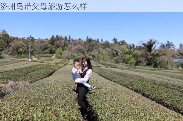 济州岛带父母旅游怎么样