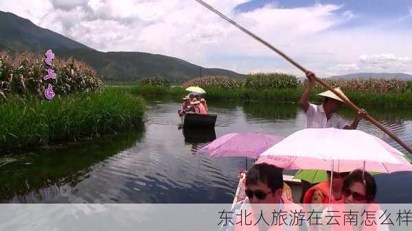 东北人旅游在云南怎么样