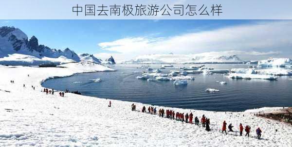 中国去南极旅游公司怎么样