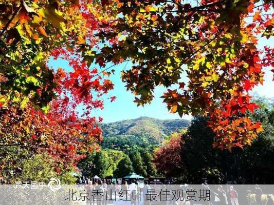 北京香山红叶最佳观赏期