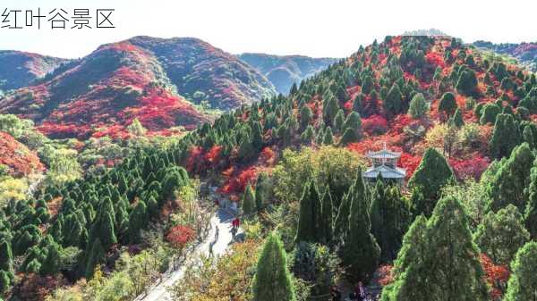 红叶谷景区