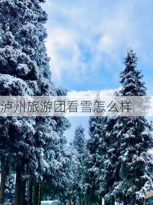 泸州旅游团看雪怎么样