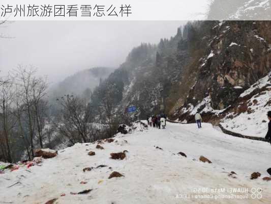 泸州旅游团看雪怎么样