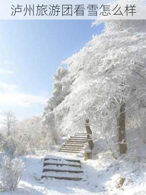 泸州旅游团看雪怎么样