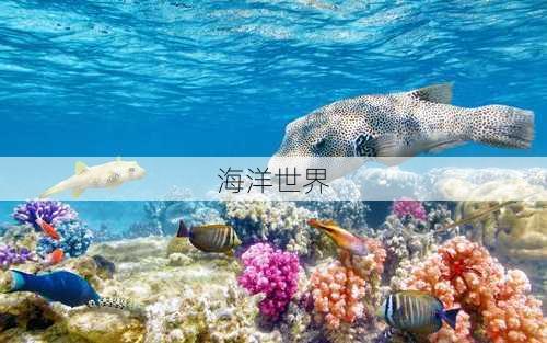 海洋世界