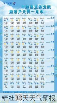 精准30天天气预报