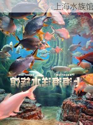 上海水族馆