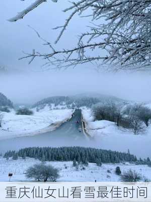 重庆仙女山看雪最佳时间