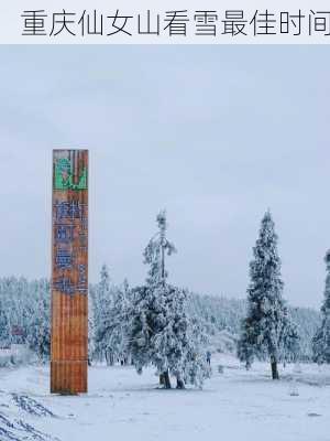 重庆仙女山看雪最佳时间