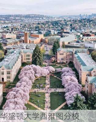 华盛顿大学西雅图分校