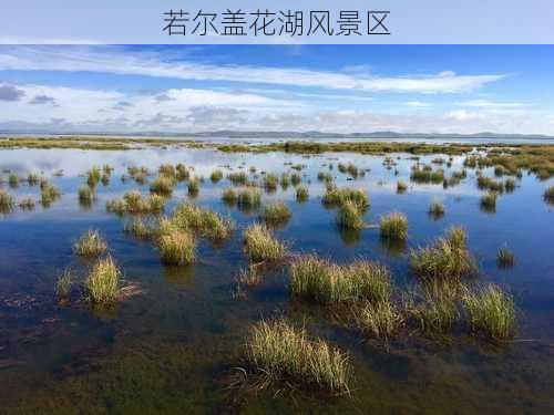 若尔盖花湖风景区