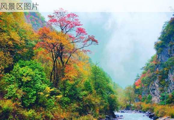 风景区图片