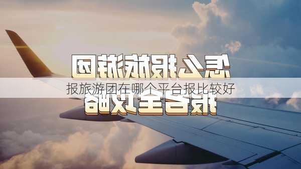 报旅游团在哪个平台报比较好