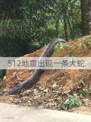 512地震出现一条大蛇