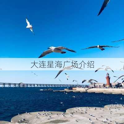 大连星海广场介绍