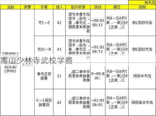 嵩山少林寺武校学费