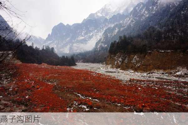 燕子沟图片