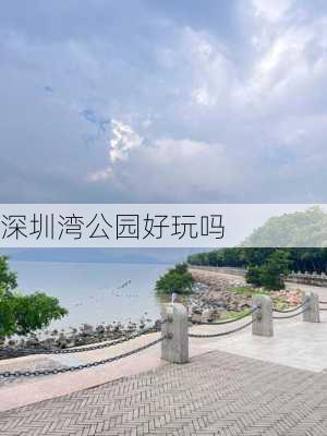 深圳湾公园好玩吗