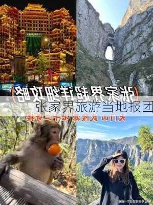 张家界旅游当地报团