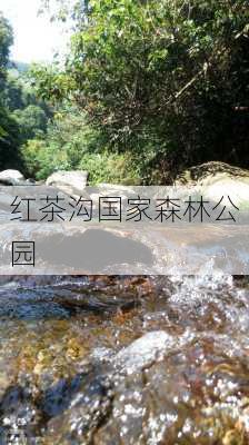 红茶沟国家森林公园