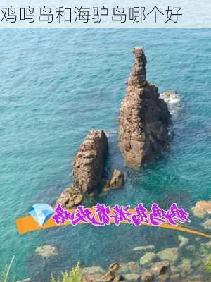 鸡鸣岛和海驴岛哪个好