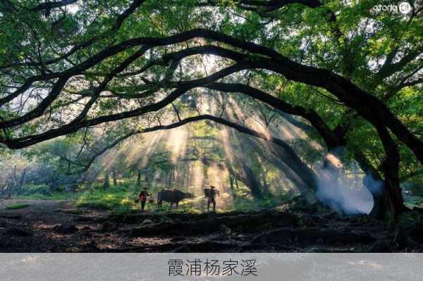 霞浦杨家溪