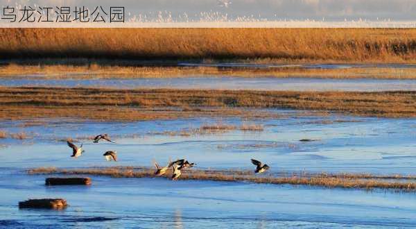 乌龙江湿地公园