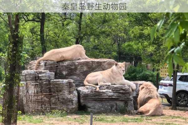 秦皇岛野生动物园