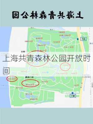 上海共青森林公园开放时间