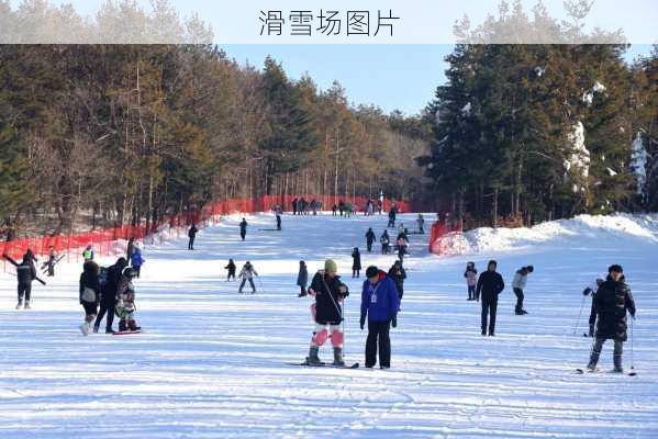 滑雪场图片