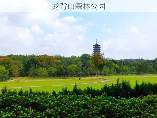 龙背山森林公园