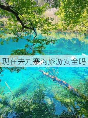 现在去九寨沟旅游安全吗