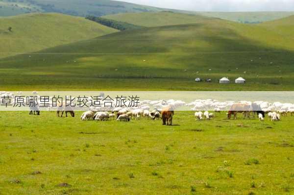 草原哪里的比较适合旅游