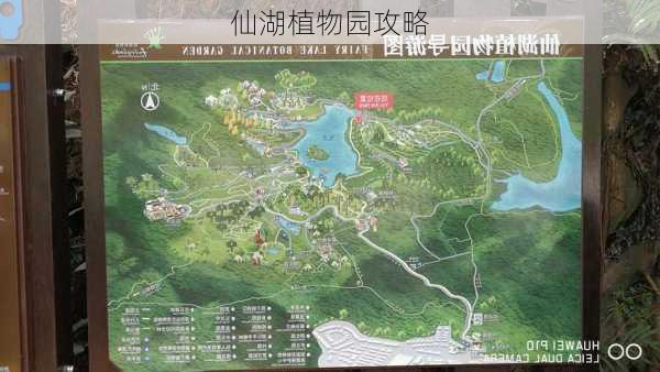 仙湖植物园攻略