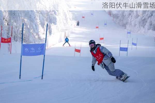 洛阳伏牛山滑雪场