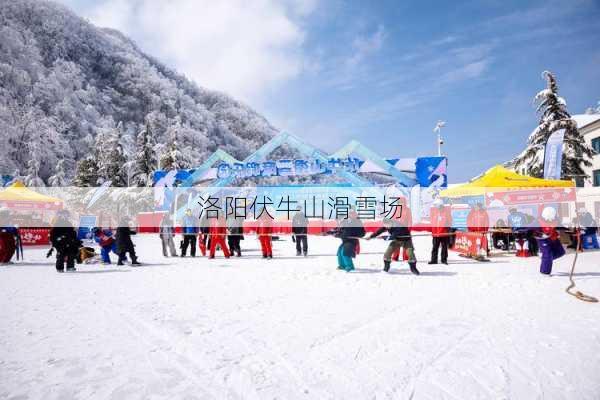 洛阳伏牛山滑雪场