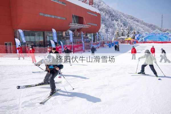 洛阳伏牛山滑雪场