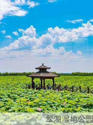 翠湖湿地公园