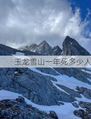 玉龙雪山一年死多少人