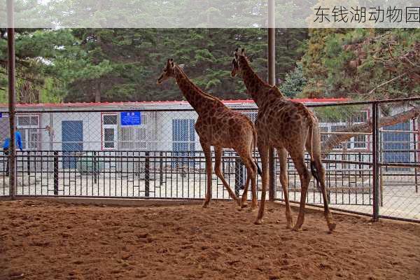 东钱湖动物园