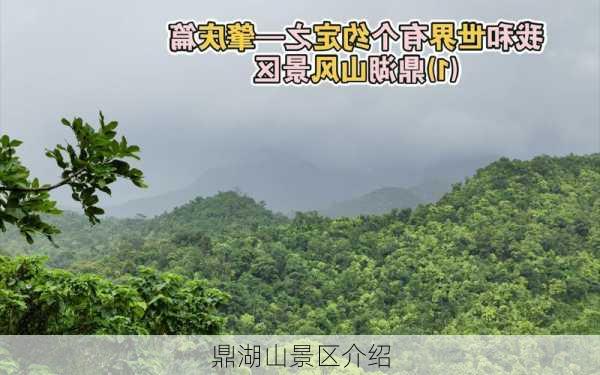 鼎湖山景区介绍