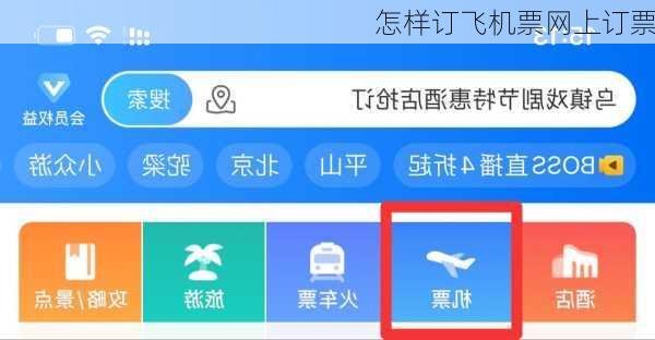 怎样订飞机票网上订票
