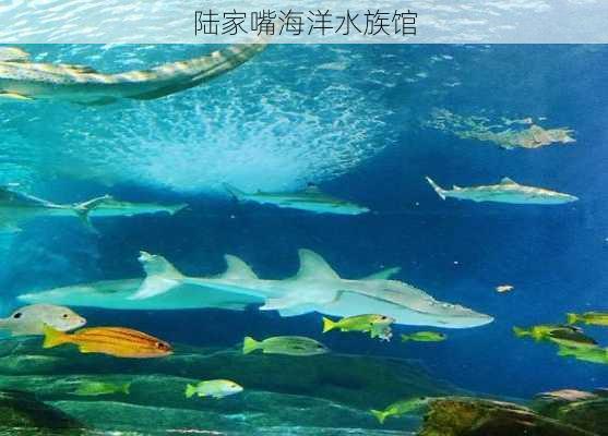 陆家嘴海洋水族馆